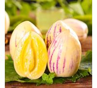 melone pera giardino balcone rara copertura del terreno antiche 50semi