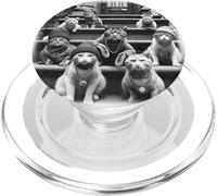 Meme divertente di Gangster 90's Gang of Feral Street Cats PopSockets PopGrip per MagSafe