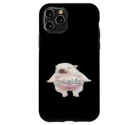 Meme Pibble Wash My Belly Funny Custodia per iPhone 11 Pro