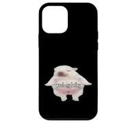 Meme Pibble Wash My Belly Funny Custodia per iPhone 12 mini