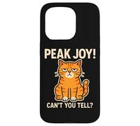 Meme Sarcastic Peak Joy Cat Non riesci a capire un umore divertente e scontroso Custodia per iPhone 15 Pro