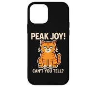 Meme Sarcastic Peak Joy Cat Non riesci a capire un umore divertente e scontroso Custodia per iPhone 12 mini