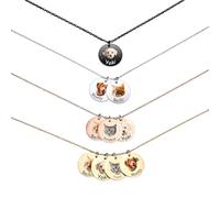 MeMeDIY Collana Personalizzata di Ritratto di Animali Domestici con Testo Fotografico Inciso Regali Commemorativi Personalizzati Regali per Amanti di Cani/Animali Domestici/Gatti (B1 Oro)