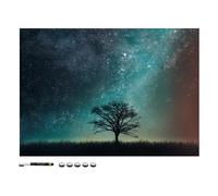 Navaris Memo Board Lavagna Magnetica 70x50cm - Lavagnetta Scrivibile Cancellabile con 1x Pennarello 5X Calamite - Bacheca Design Cielo Stellato Albero
