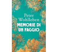 Memorie di un faggio