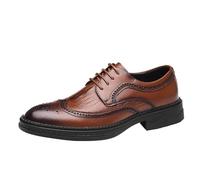 Men’s Fashionable Lace-Up Leather Dress Shoes Pointed Toe Classic All-Match Wedding & Business Shoes(Brown,41 EU)