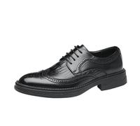 Men’s Fashionable Lace-Up Leather Dress Shoes Pointed Toe Classic All-Match Wedding & Business Shoes(Black,38 EU)