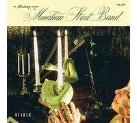 Exciting Sounds Of Menahan Street Band - Menahan Street Band (Audio CD)