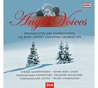 Mendelssohn - Angel Voices: the Boys' Choir (3 CD)