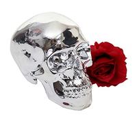 Mendler Decorazione soprammobile scultura teschio HWC-T921 poliresina 18cm argento lucido