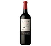 Mendoza IG Malbec Catena Zapata 2022, 0,75 ℓ