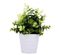 Meneco Piccola pianta finta in vaso - Pianta artificiale da interno, pianta in vaso finta decorazione per casa e ufficio (verde eucalipto)