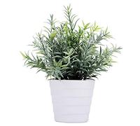 Meneco Piccola pianta finta in vaso, pianta artificiale per interni, pianta artificiale in vaso, decorazione per casa e ufficio