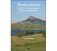 Menesta asciatizza. A tavola con le piante spontanee dell'Appennino meridionale