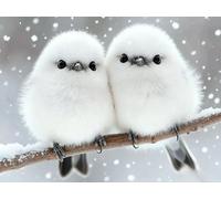 mengzhiyi Set per Punto Croce, per Principianti, Uccellino Carino 11CT Kit Punto Croce Prestampato, Set da Ricamo fai da te, con Istruzioni,40x50cm