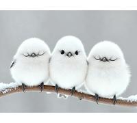 mengzhiyi Set per Punto Croce, per Principianti, Uccellino Carino 11CT Kit Punto Croce Prestampato, Set da Ricamo fai da te, con Istruzioni,40x50cm