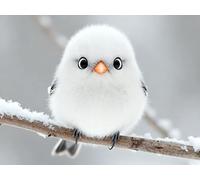 mengzhiyi Set per Punto Croce, per Principianti, Uccellino Carino 11CT Kit Punto Croce Prestampato, Set da Ricamo fai da te, con Istruzioni,40x50cm