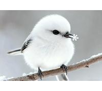 mengzhiyi Set per Punto Croce, per Principianti, Uccellino Carino 11CT Kit Punto Croce Prestampato, Set da Ricamo fai da te, con Istruzioni,40x50cm