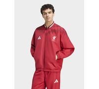 Mens adidas Giacca Da Allenamento Liverpool Fc Stadium - Rosa, rosa 2XL