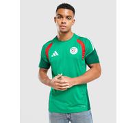 Adidas Algeria 26/27 Training Short Sleeve T-shirt Verde L / Regular Uomo