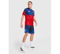 Mens adidas Olympique Lyon Tiro26 Training Shorts - Blu, blu M