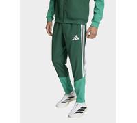 Adidas Algeria 26/27 Presentation Tracksuit Pants Verde XS / Regular Uomo
