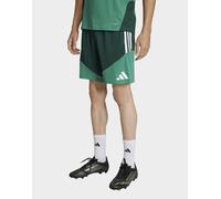 Adidas Algeria 26/27 Training Shorts Verde XS / Regular Uomo