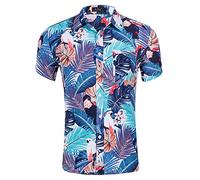 Men's Casual Dress Shirt Mens Print Button Down Short Sleeve Hawaiian Shirt Summer Vacation Beach Shirt Regular Fit Casual Cotton Shirt Blouse Top Tee Button Down Work Shirts