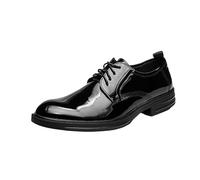Mens Formal Leather Lace Up Shoes Bright Upper Pointed Toe Classic Comfortable Wedding Prom Dress Shoes(43 EU)