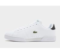 Mens Lacoste Carnaby Cupsole - Bianco, bianco 42