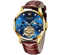 Men's Luxury Watch Skeleton Tourbillon Automatic Self-Winding Sapphire Crystal Diamond Moon Phase Display Genuine Leather Business Dress Watches