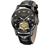 Men's Luxury Watch Skeleton Tourbillon Automatic Self-Winding Sapphire Crystal Diamond Moon Phase Display Genuine Leather Business Dress Watches