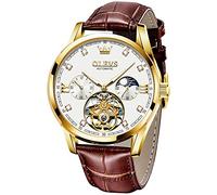 Men's Luxury Watch Skeleton Tourbillon Automatic Self-Winding Sapphire Crystal Diamond Moon Phase Display Genuine Leather Business Dress Watches