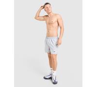 Mens Nike Verbiage Swim Shorts - Grigio, grigio S