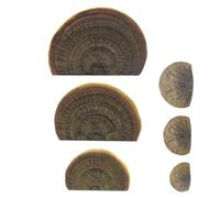 Mensola da parete a forma di fungo, supporto sospeso per funghi, in resina forestale con robusto hardware di montaggio nascosto, dettagli realistici dipinti a mano, ideale per esporre figure, gioielli