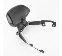 Mensola Di Supporto Cuscino Dello Schienale Posteriore Moto Passeggero Schienale Pigro Per NSS350 Per Forza350 2021 2022 2023 Supporto Sedile Posteriore(Nero)