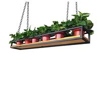 Mensole per Piante sospese al soffitto - Portavasi in Legno Galleggiante, espositore Decorativo e ripiano portaoggetti da Cucina, portabottiglie Ideale per Bar di casa e Giardino Interno