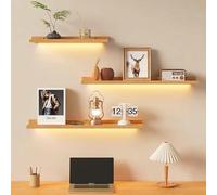 Mensole sospese da parete a LED per decorazione, espositore illuminato per libri, foto e piante