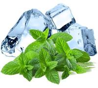 Menta Ghiaccio 150 Semi - Semi di Menta Aromatica dal Profumo Fresco e Intenso, Ideale per Orto, Vaso, Balcone, Tisane, Cocktail e Ricette