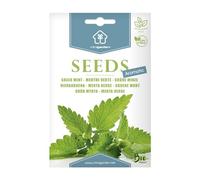 Menta Verde, Semi Biologici, include tra 1600 e 1000 semi