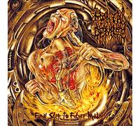 MENTAL DEMISE - FINAL STEP TO FUTURE MADD