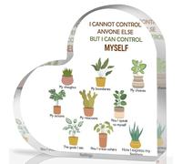 Mental Health Decor, Mindfulness Decor for Therapy Office Things I Can Control Acrylic Heart Gifts, School Counselor Sign Therapist Office Art Decorations for Therapist Office Living Room Bedroom