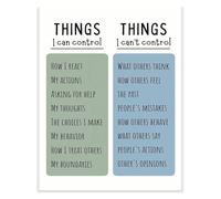 Mental Health Poster Circle of Control Chart Things Within My Control for Counseling Office Classroom Mindfulness Decor(Unframed,16x24inch(40x60cm))