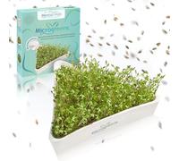 Mental-High® Ciotola per crescione, con colino in acciaio inox, ciotola triangolare per semi di crescione, germinazione sostenibile senza terra, germinazione in ceramica con design floreale della