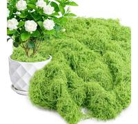 MENUY 200 g di muschio artificiale da decorare, verde chiaro, muschio artificiale, muschio per bricolage, Souple et Malléable Respirant et Perméable à l'eau, Grand Carnagione per parete, presepe