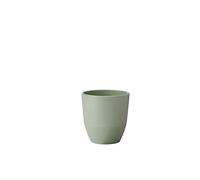 Mepal - Bicchiere Silueta - Tazza per tè e caffè - Lavabile in lavastoviglie e microonde - Stoviglie - 200 ml - Nordic sage