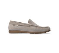 Mephisto Algoras Grigio