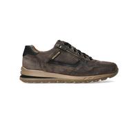 Mephisto Bradley Marrone