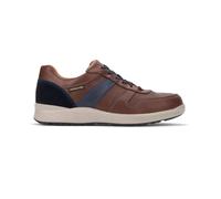 Mephisto Vito Marrone