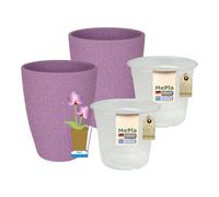 MePla - 2 pezzi - Vaso per orchidee 500 Lizzard Ø 14 cm lavanda vaso orchidea ø 12, ambiente domestico di alta qualità